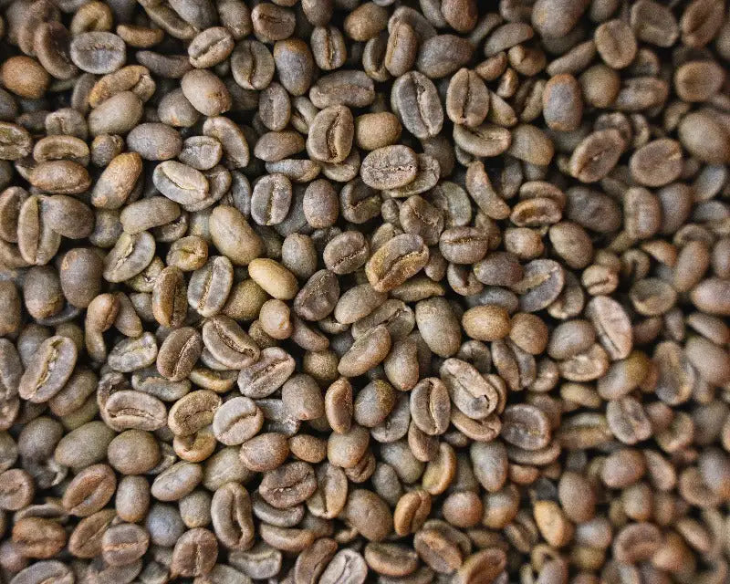 Natural? Washed? Honey? Coffee Processing Methods Explained