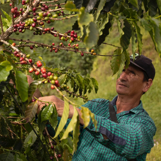 The Power of Coffee with Better Intention