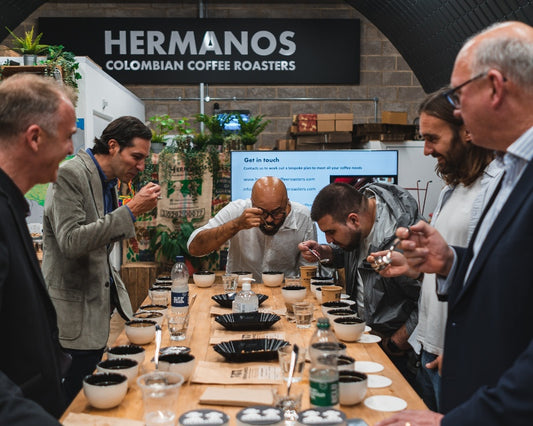 Coffee Tasting Experiences - What to Expect During Your First Cupping Session Hero Image