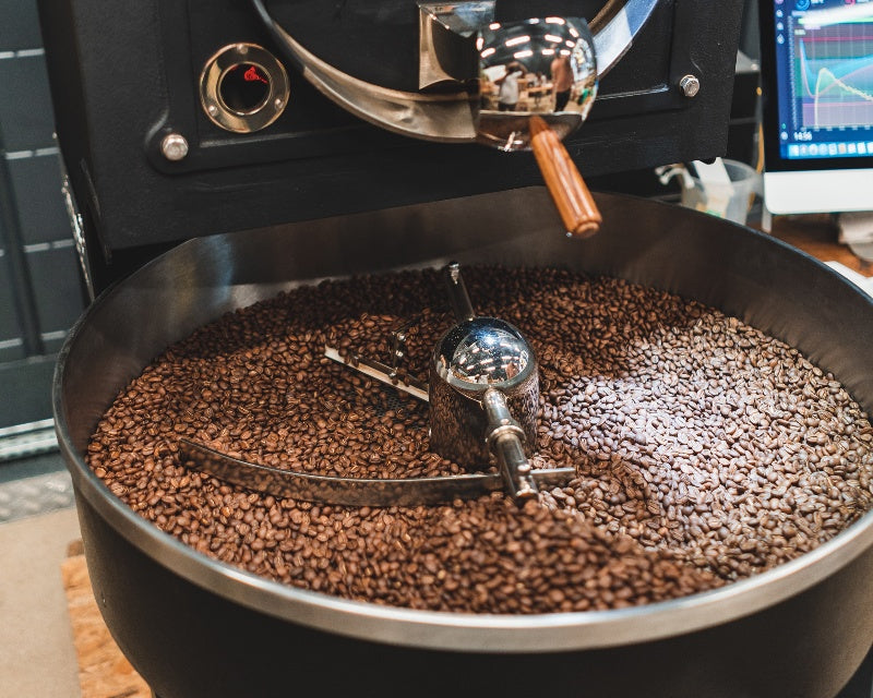 How to Make a Coffee with a French Press | Coffee Brew Guide