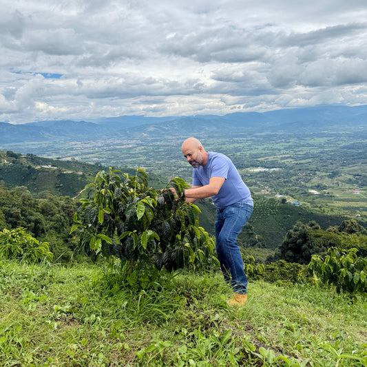 Colombian Coffee Explained