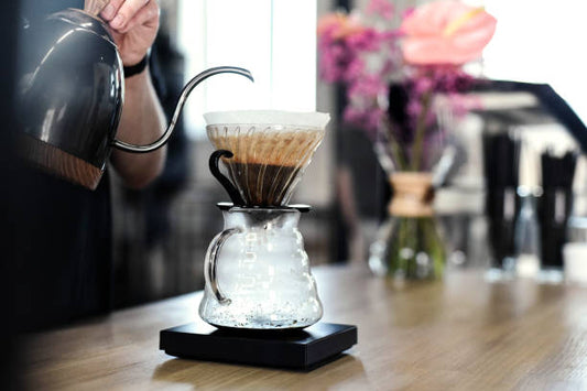 Hario V60 Dripper - Everything You Need to Know