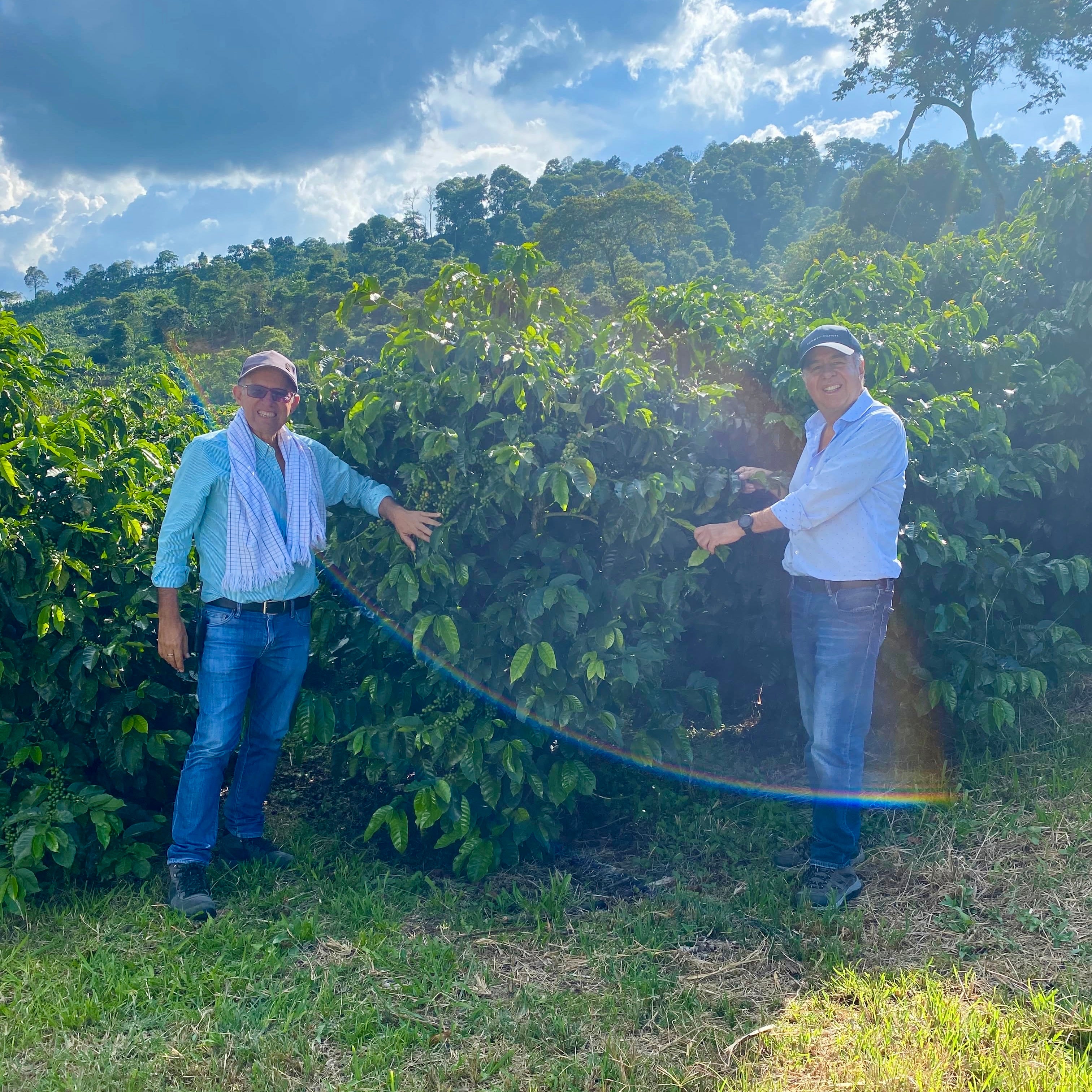 La Rochela | Specialty Coffee | Hermanos Colombian Coffee Roasters