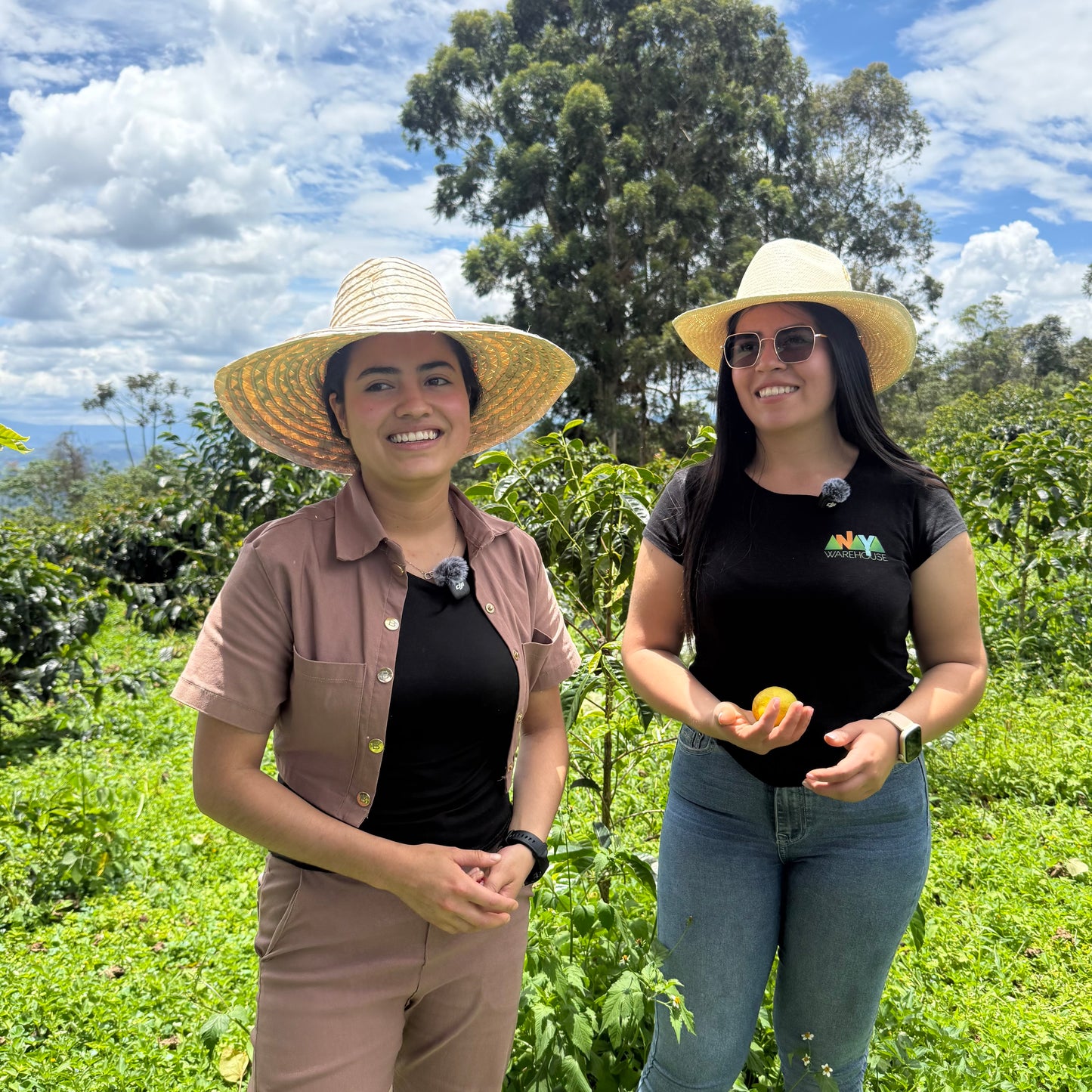 Finca Velmora – Christmas Coffee