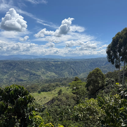 Finca Velmora – Christmas Coffee