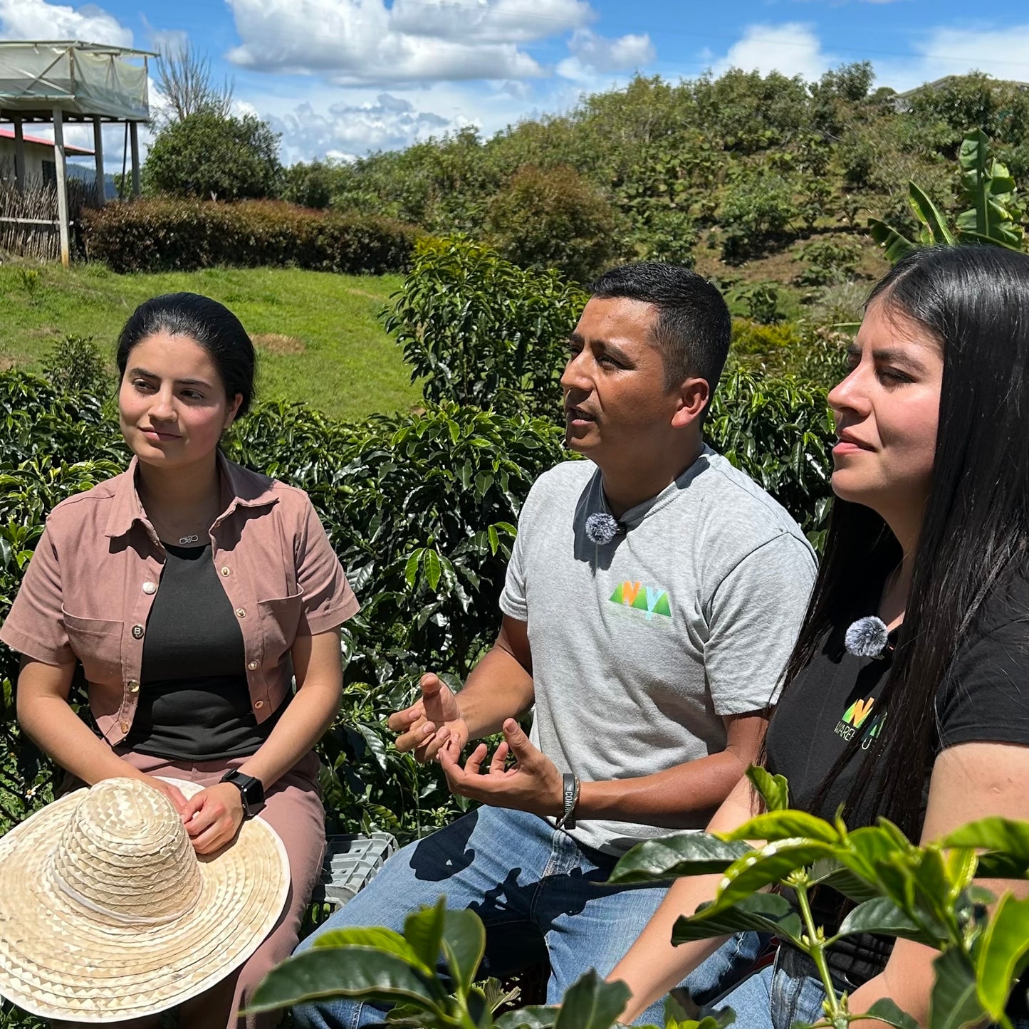 Finca Velmora – Christmas Coffee