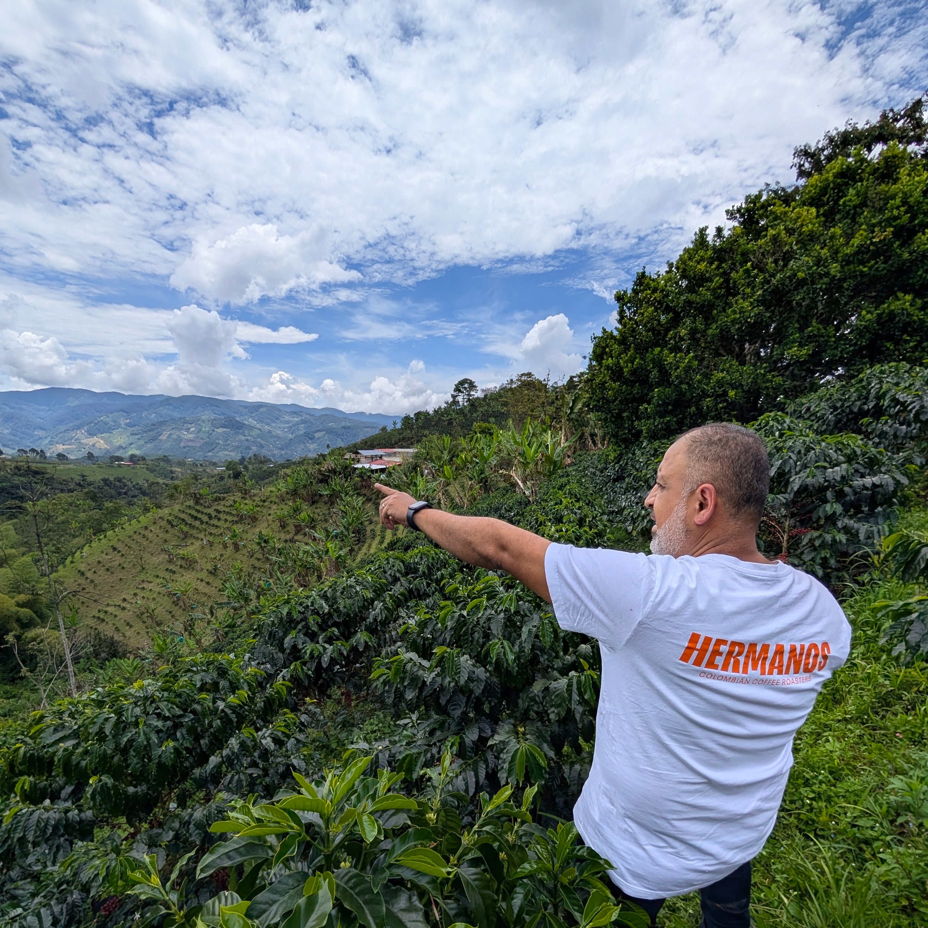 Finca Velmora | Specialty Coffee | Hermanos Colombian Coffee Roasters