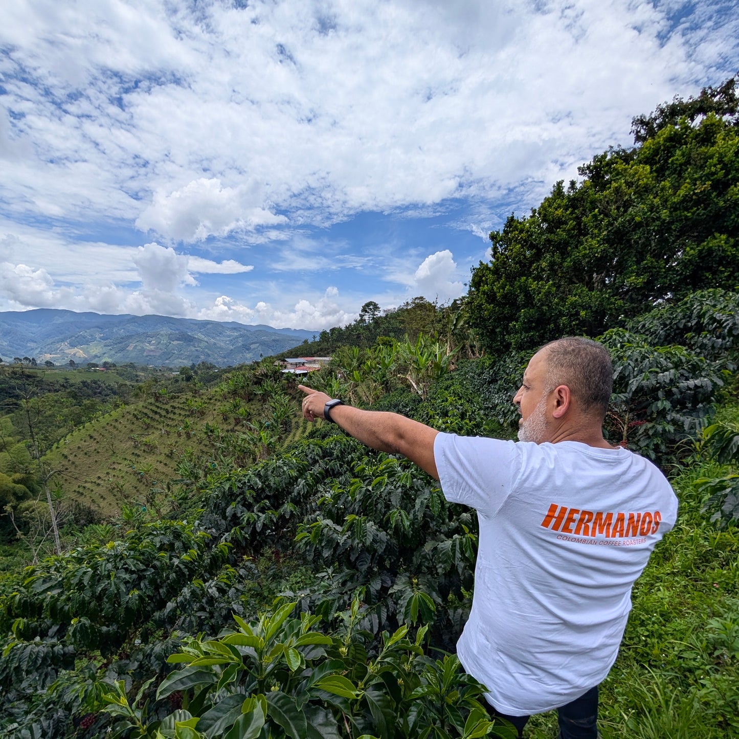 Finca Velmora – Christmas Coffee