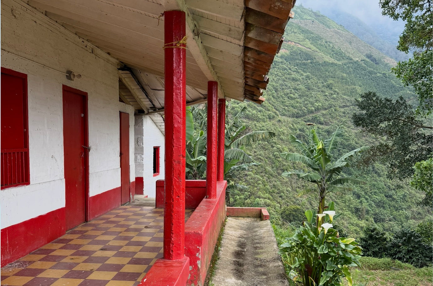 Slide Image